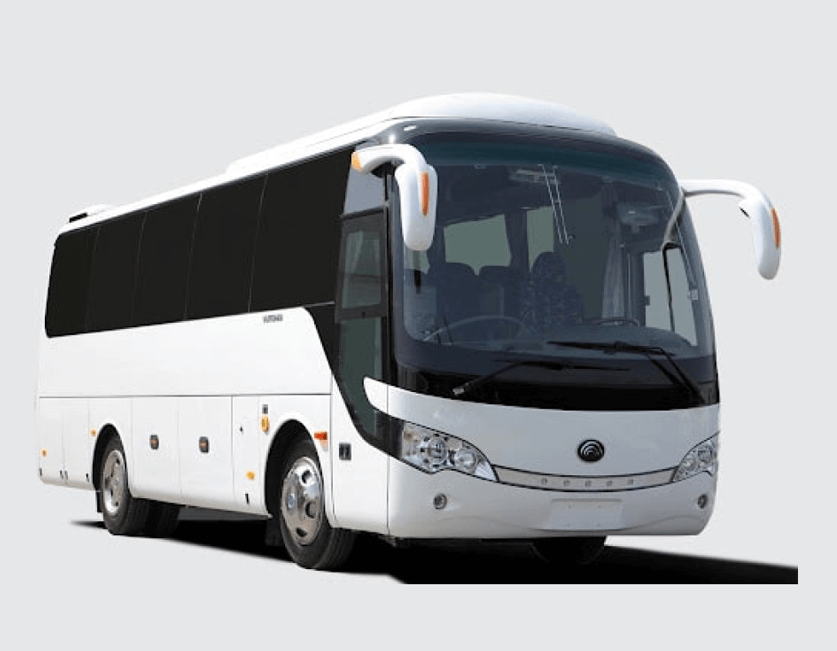 Buses/Vans